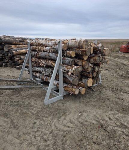 Birch Round Logs (Betula Pendula)