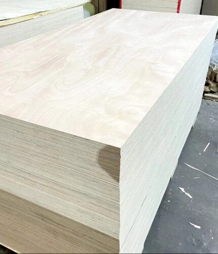Birch Lumber (Edged / Sawn Timber)