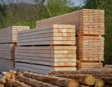 Buy Ash Lumber in Europe 1 Buy Ash Lumbers in Europe